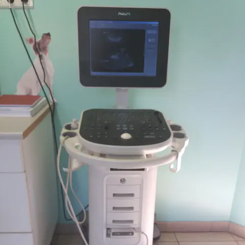 Echographie Cazères
