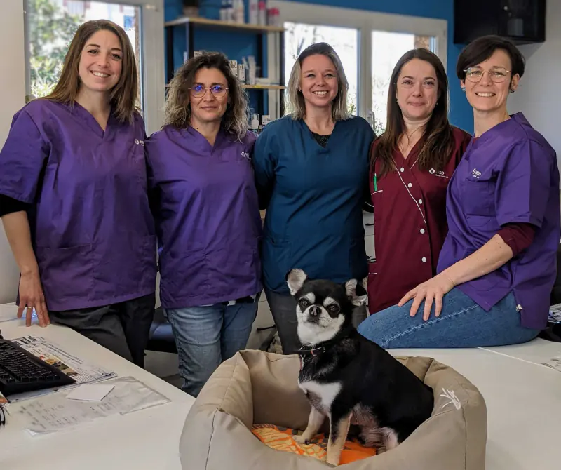 Clinique vétérinaire Cazères